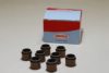 CORTECO 19036044 Seal Set, valve stem
